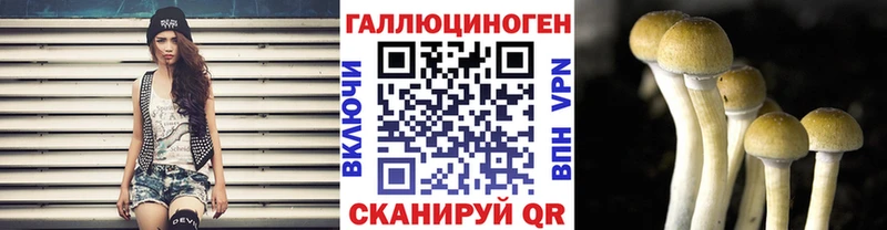 закладка Светлый Псилоцибиновые грибы мицелий